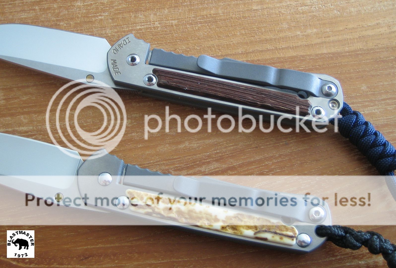 IMG_2798_CRK.jpg