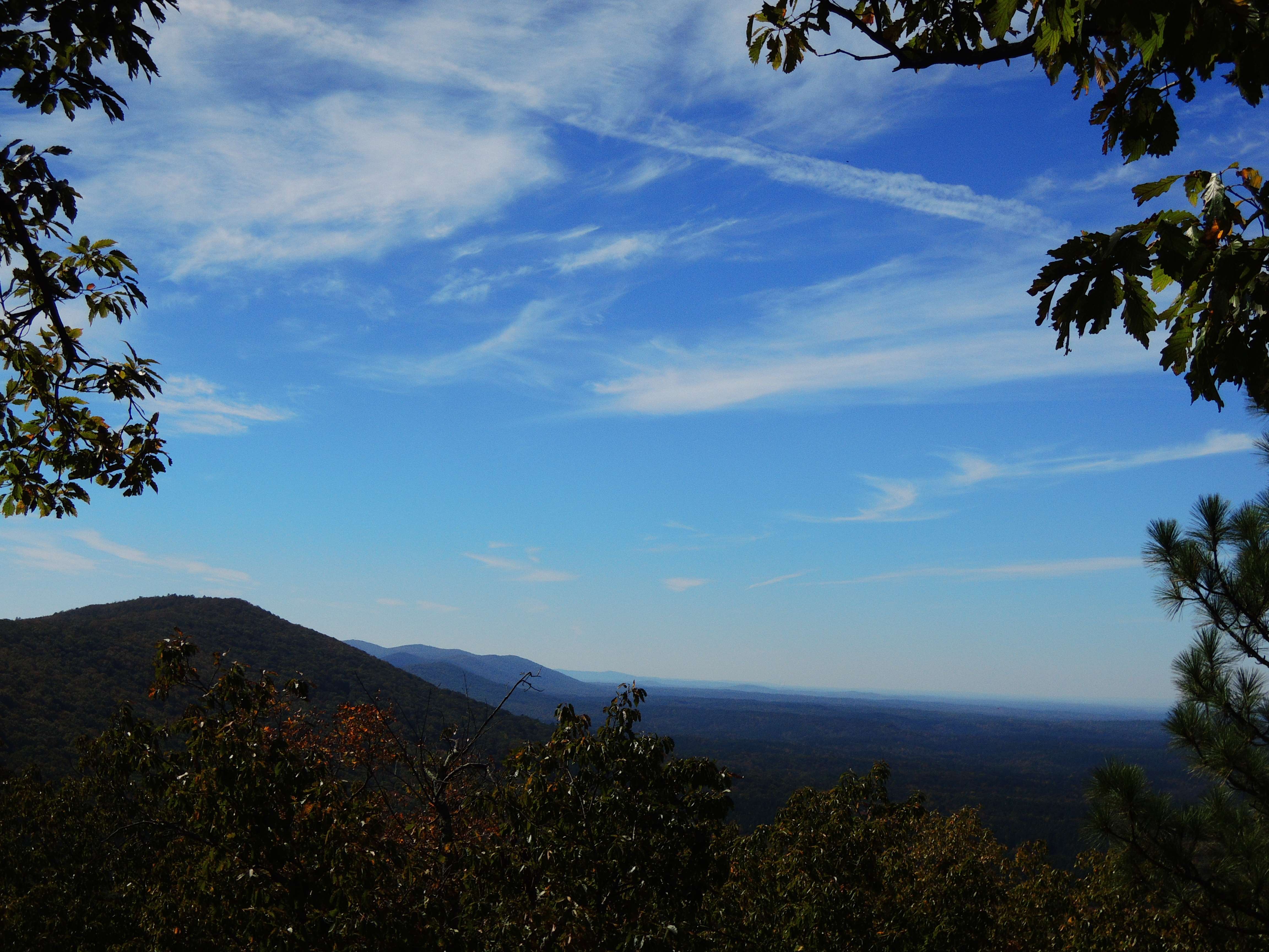 dscn2619.jpg
