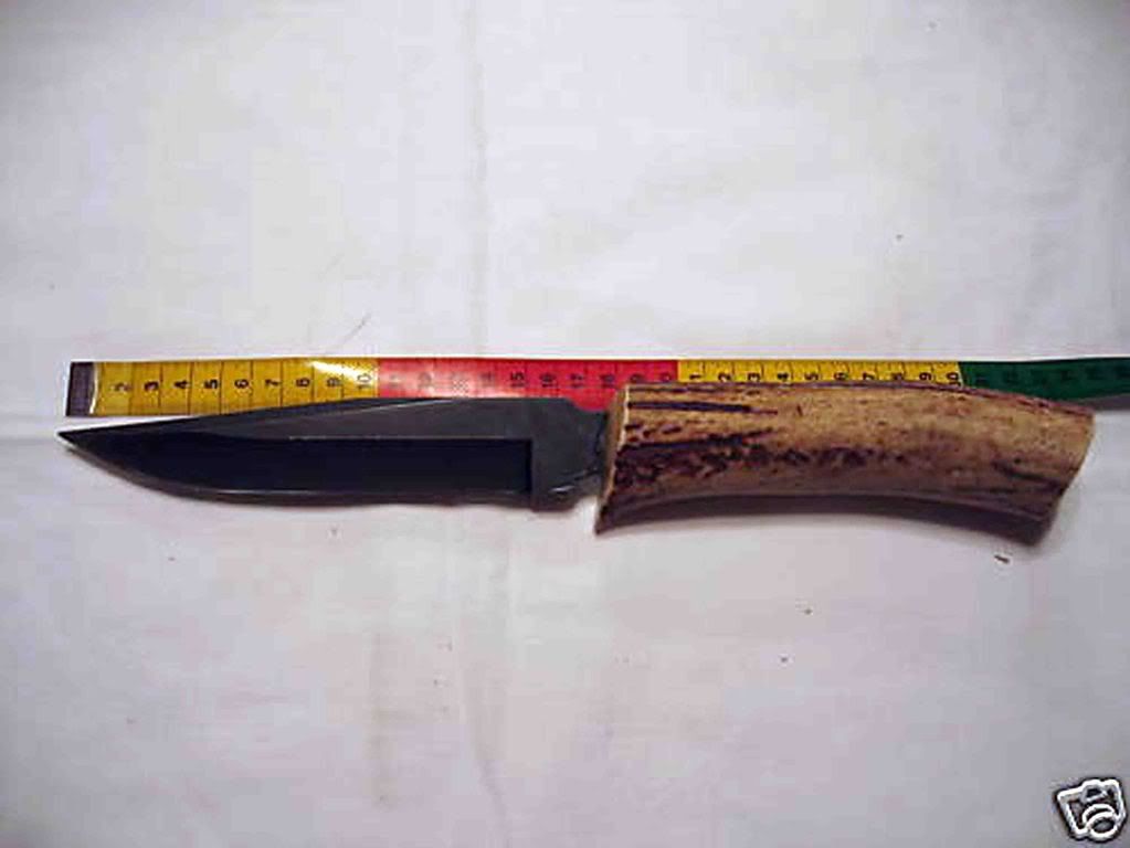 BuckNighthawkHirschrolle.jpg