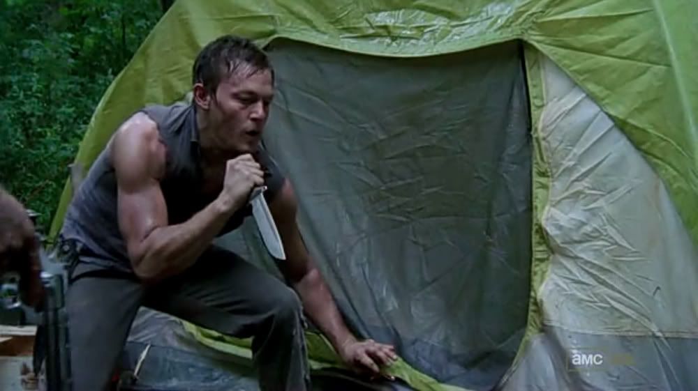TheWalkingDeadS02E01_TeamGemini2.jpg