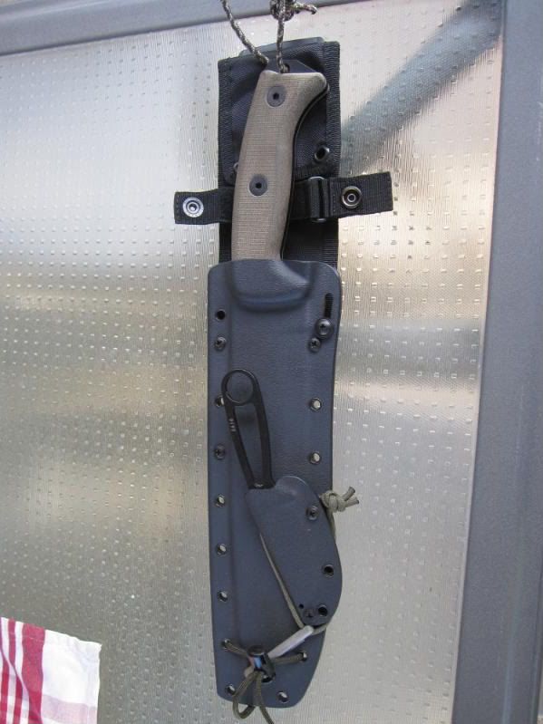 junglassheath2.jpg