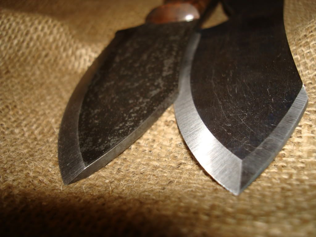 DSC09067.jpg