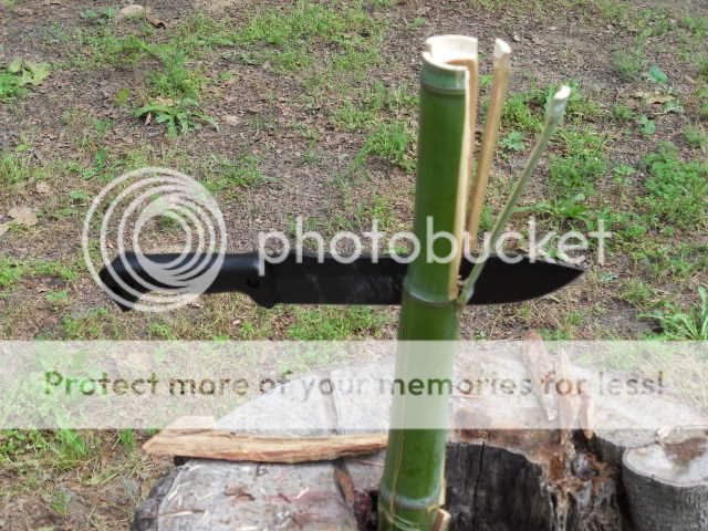SDC11072.jpg