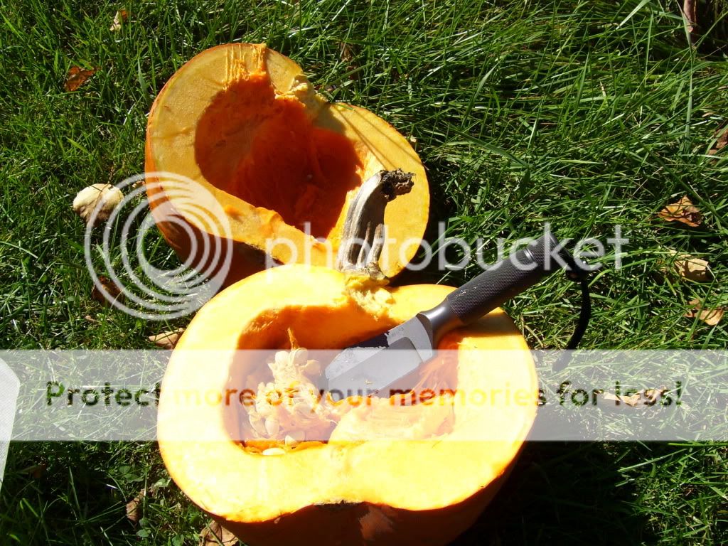 100_4262.jpg