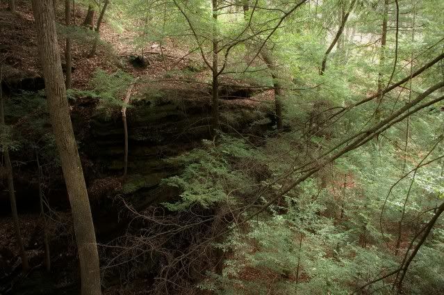 DSC_0155.jpg