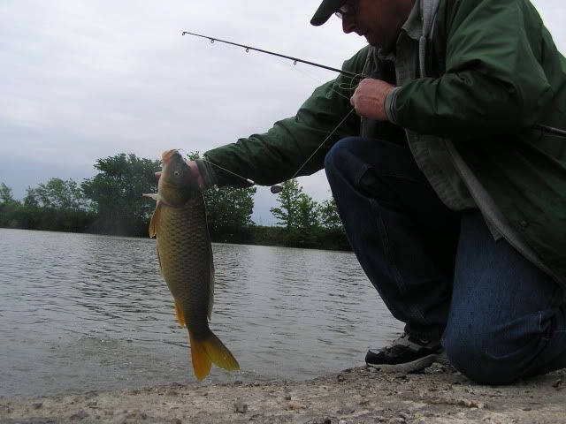 5-20-2011002.jpg