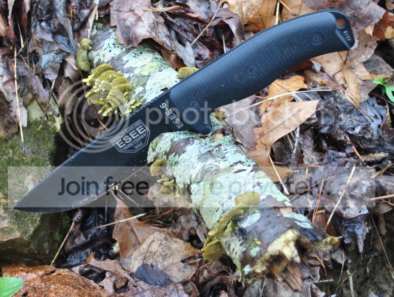 DSC_0472.jpg