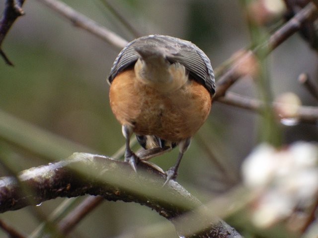 2010.02.27.r0020401.jpg