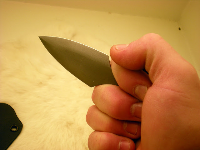DSCN1080.JPG