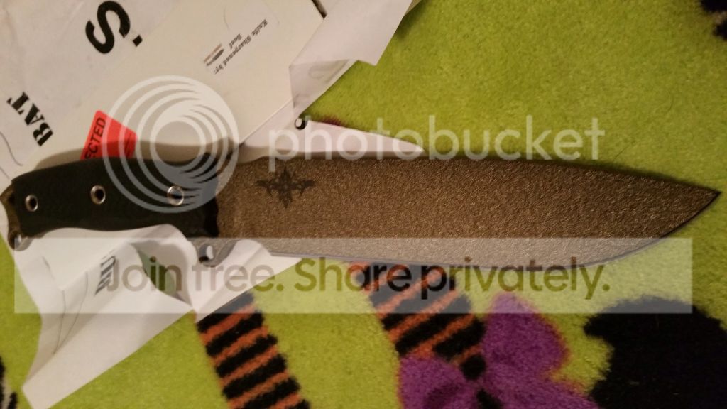 9ab8275f7203c64fef8d70636301d813.jpg