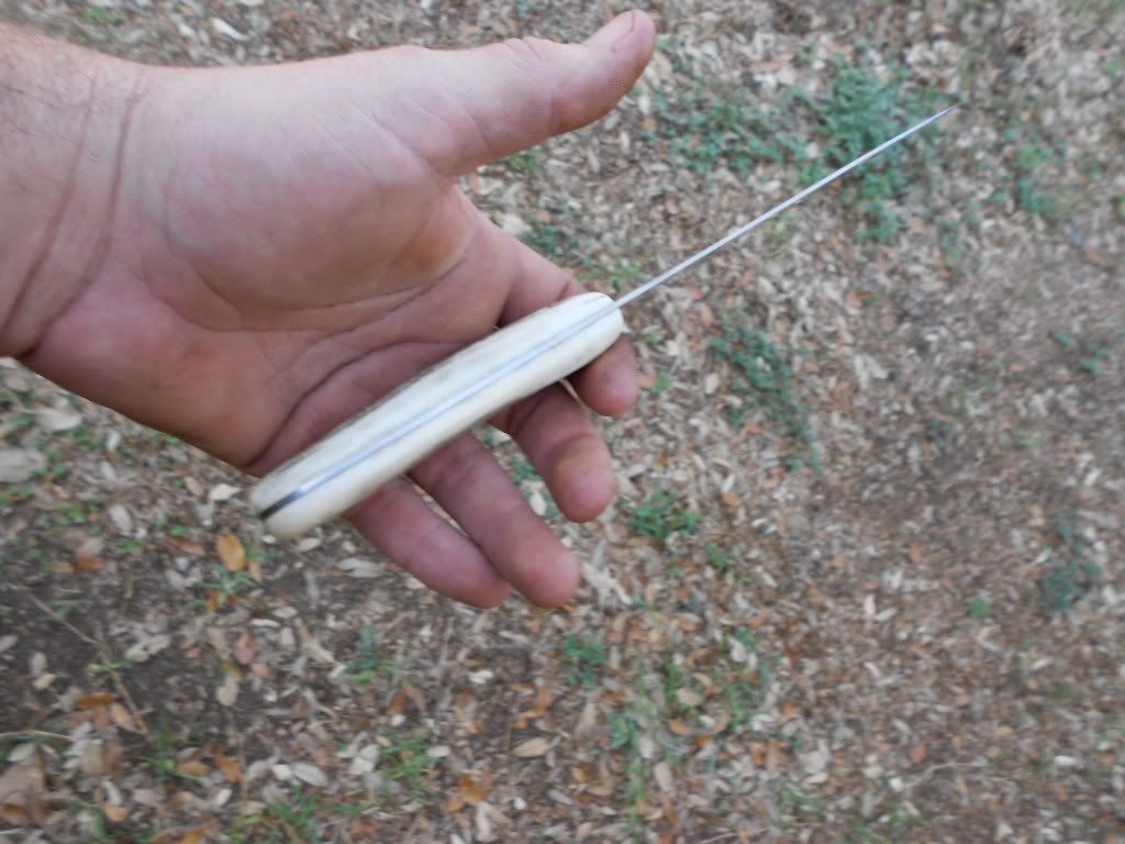 stagchef008.jpg
