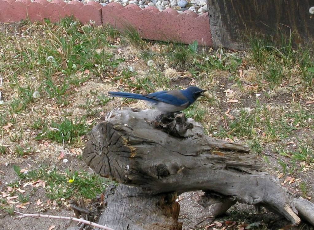 5-24-12009.jpg