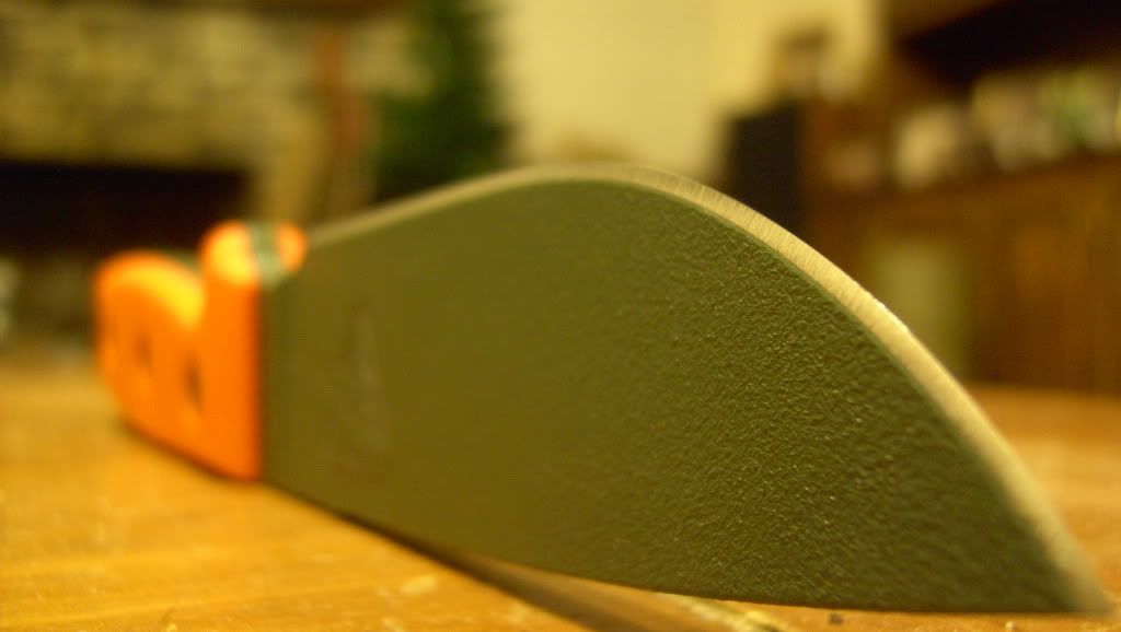 PICT0217.jpg