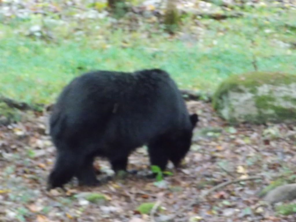 CadesCove10-7-12102.jpg