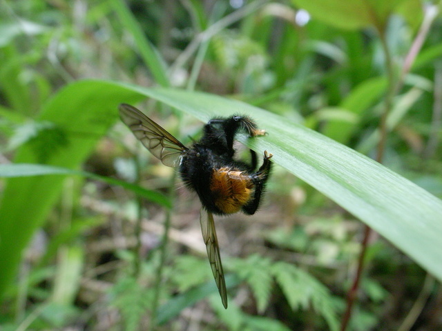 2011.05.30.R0024024.JPG