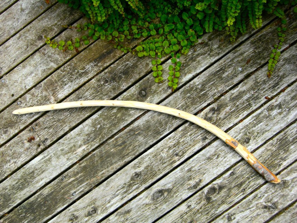 DSCN1649.jpg
