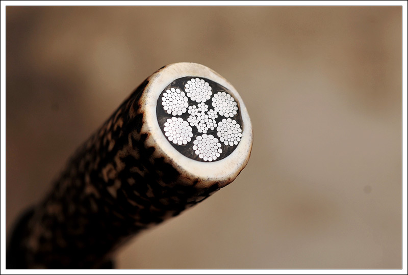 7integralcable6.jpg