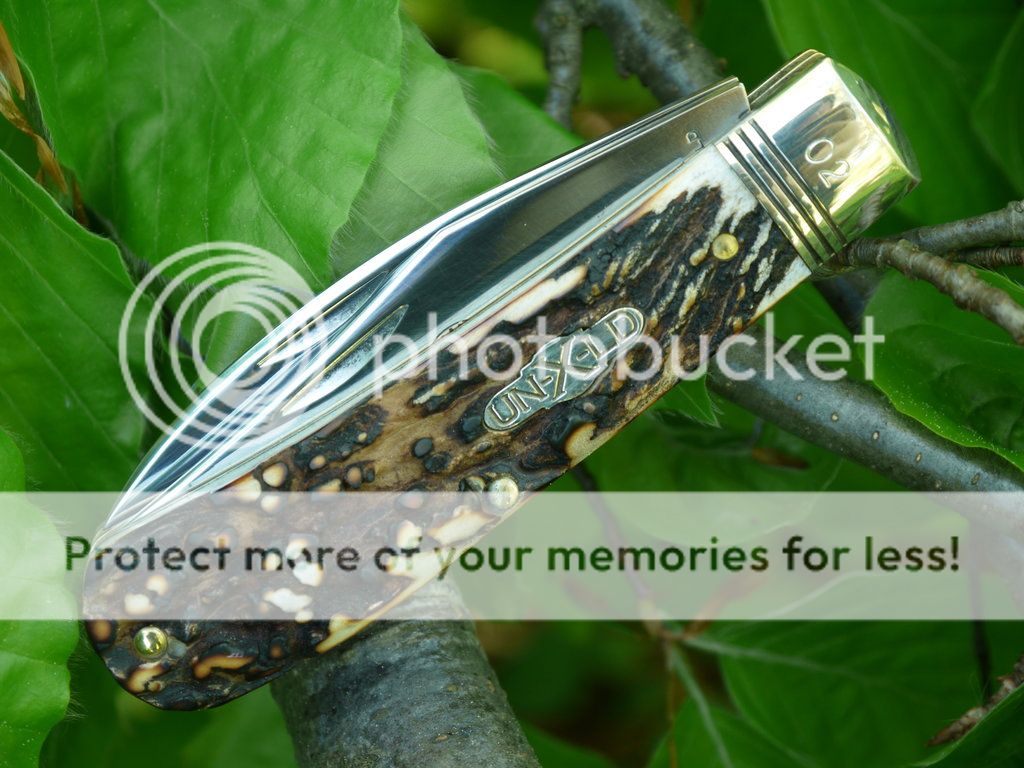 Trapper_03_small_zpsdfc09430.jpg