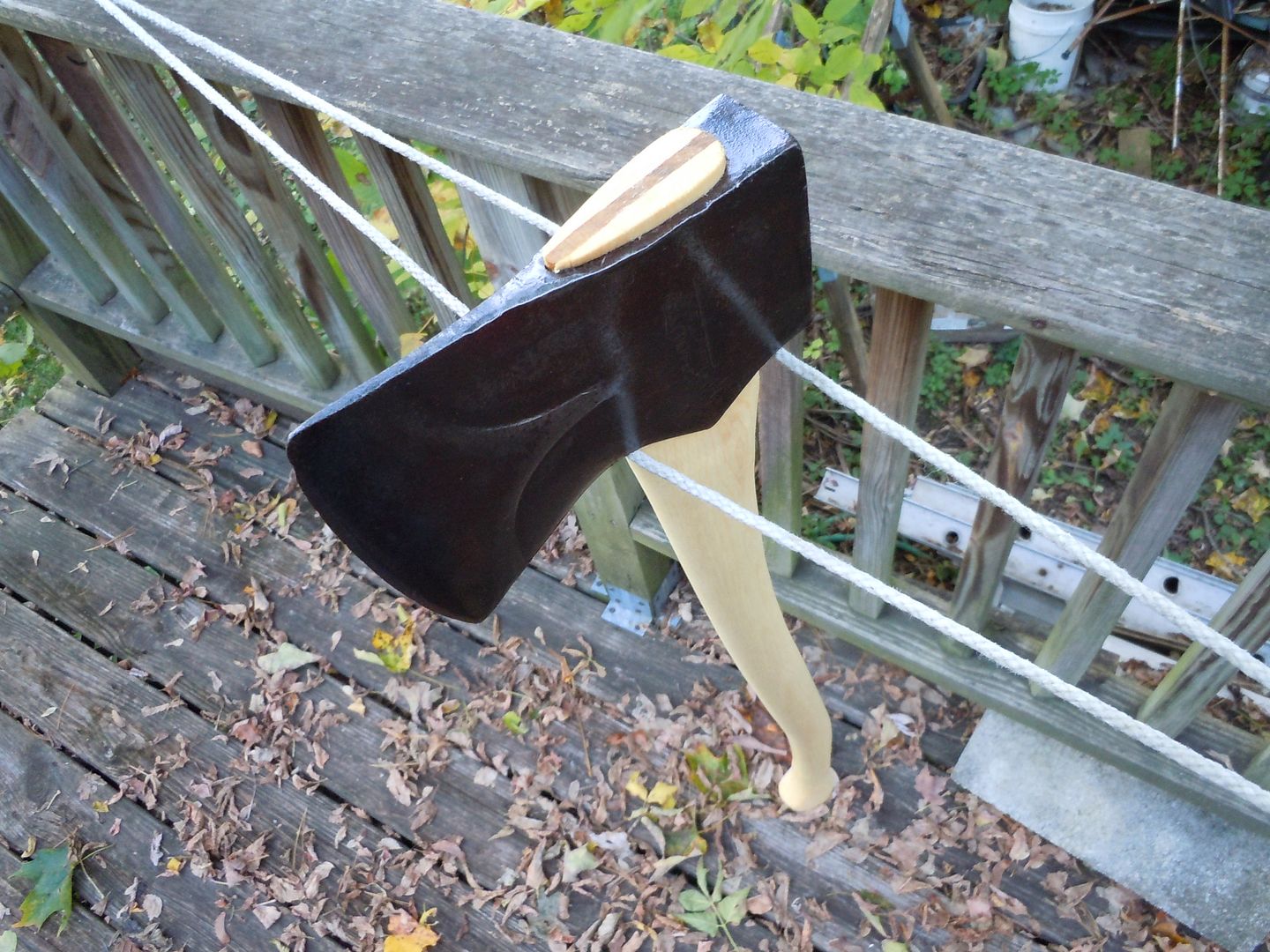 DSCN1486.jpg
