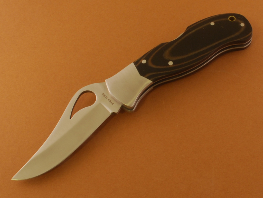byrd_harrier_08.JPG