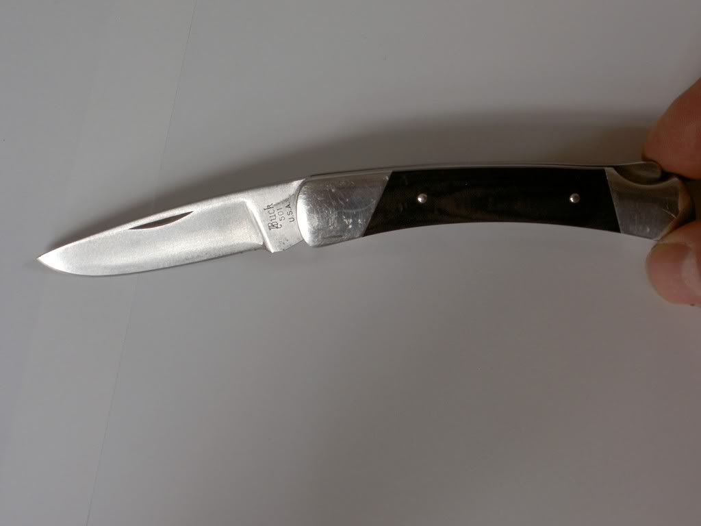 Buck501a.jpg