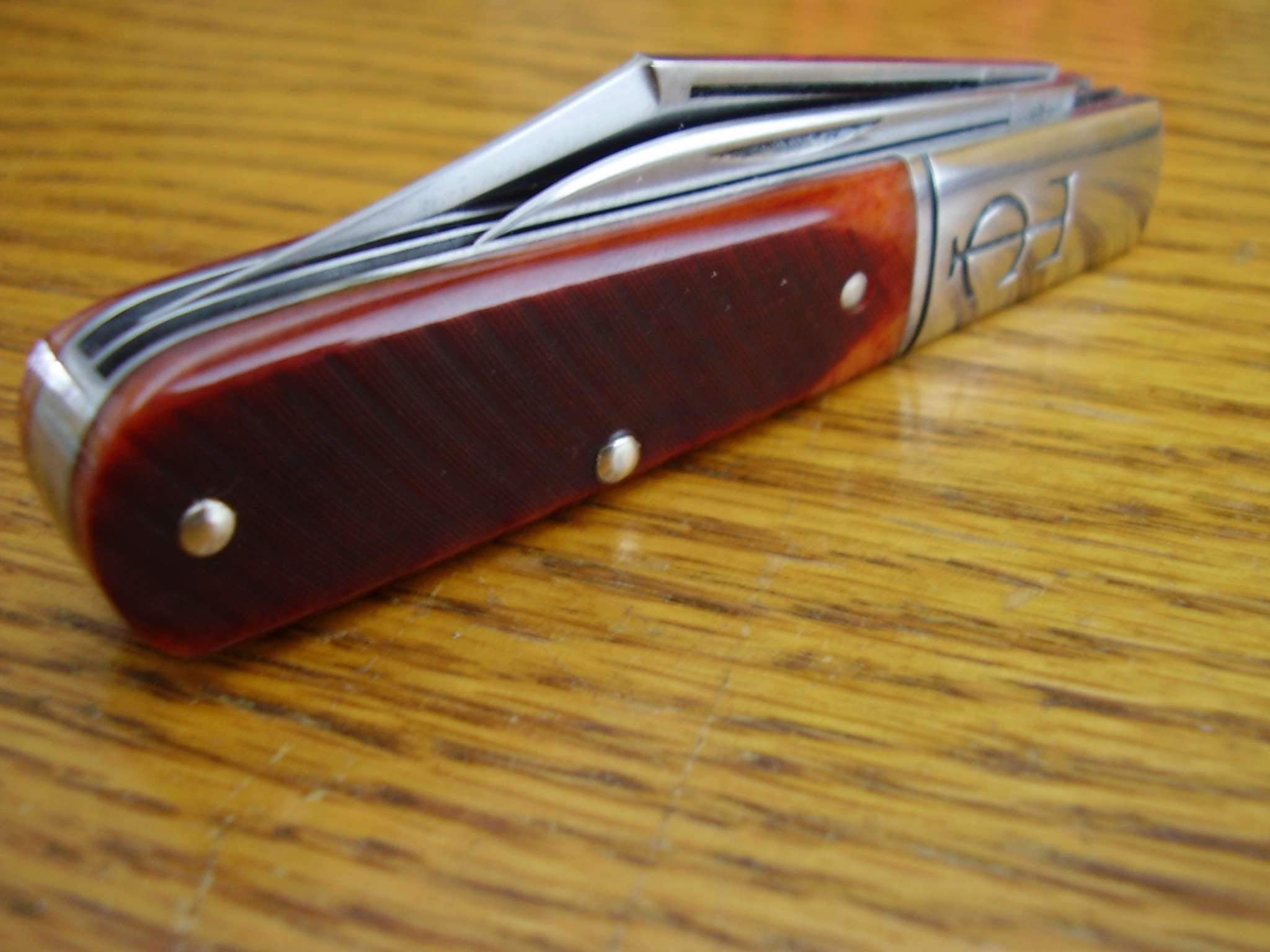 p3150001v.jpg
