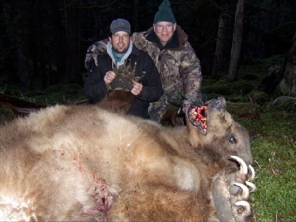 saddlehillsgrizzly.jpg