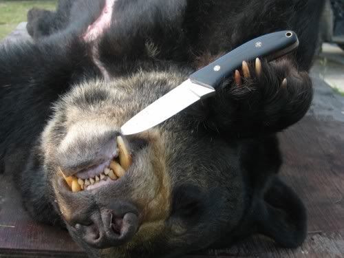 Praktisknife.jpg