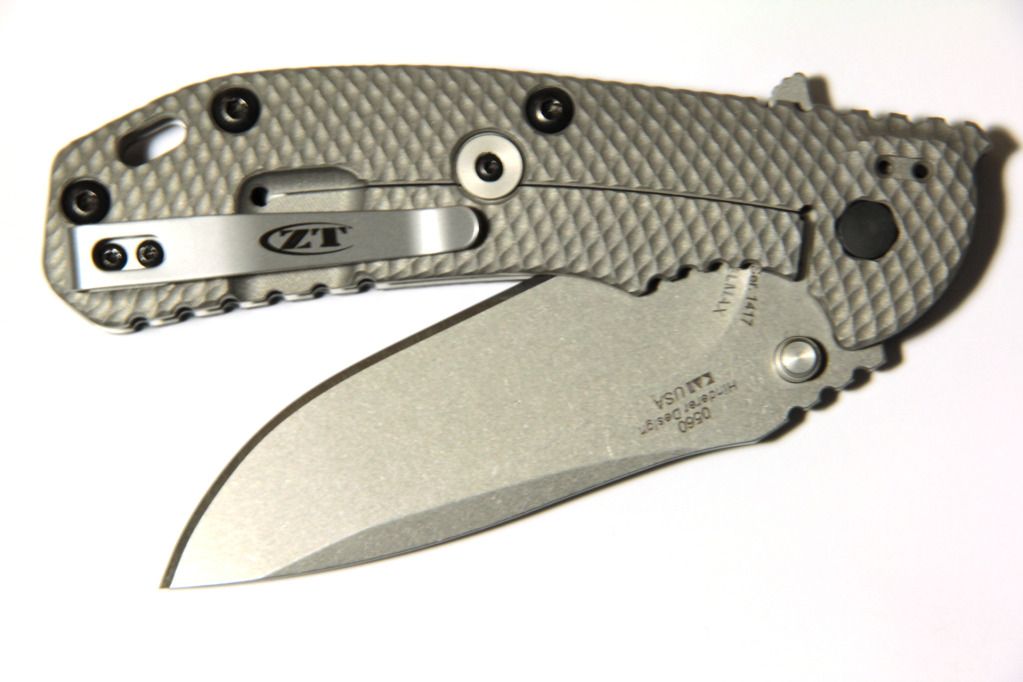 zt05603.jpg