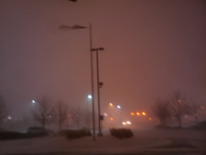 2011-02-01202740.jpg