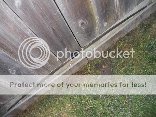 DSCN2827.jpg
