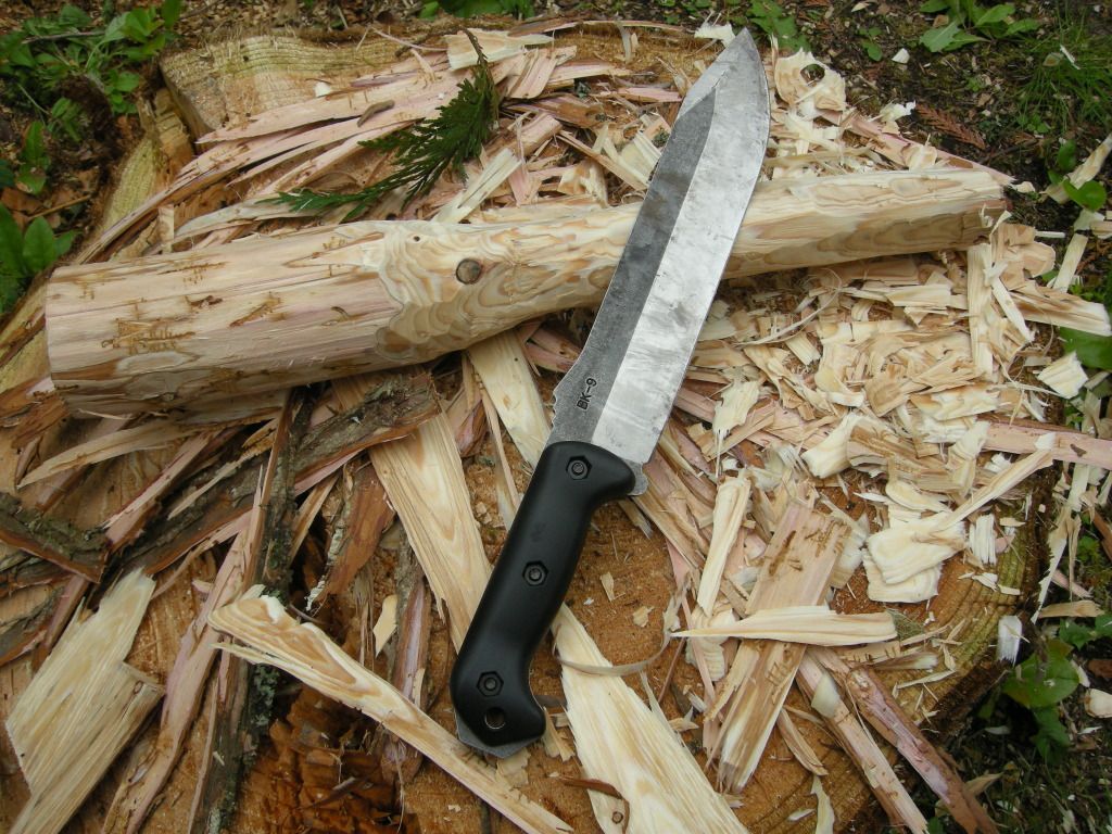 DSCN1296.jpg