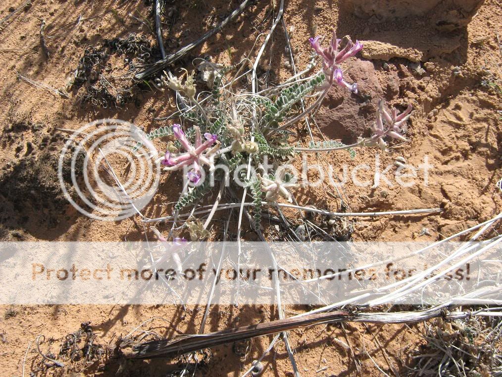 AprilHikes001-1.jpg