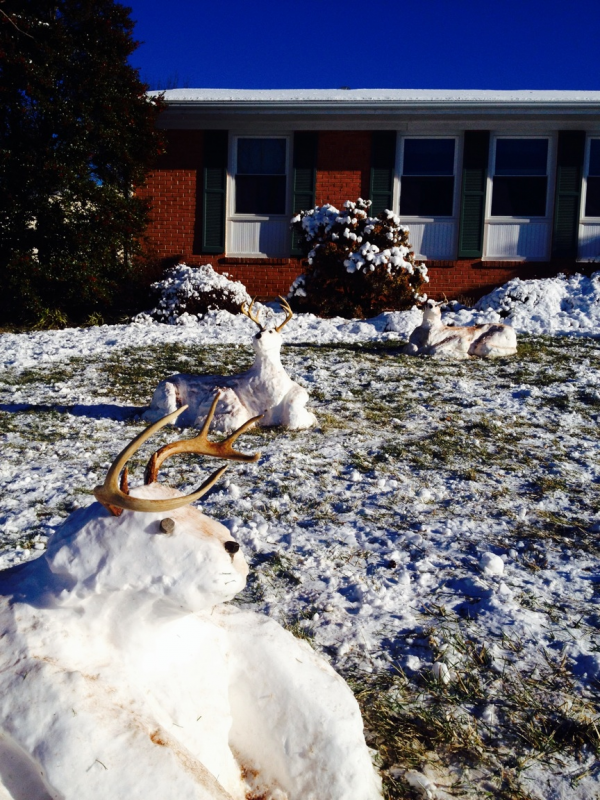 snowbucks3_zps5005a2ea.png