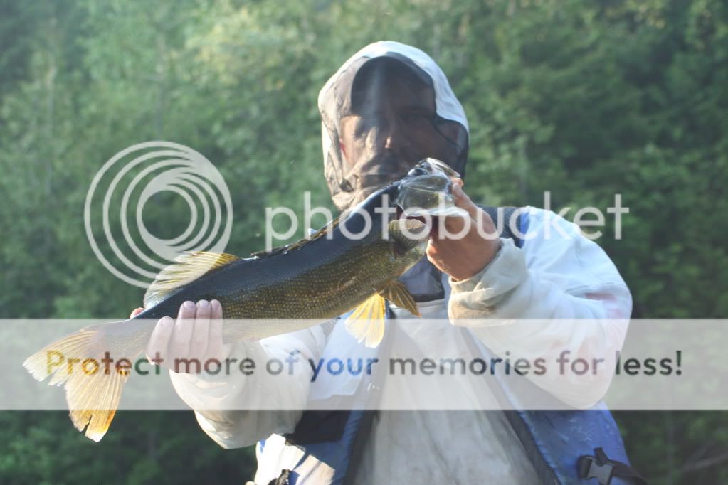 IMG_4611.jpg