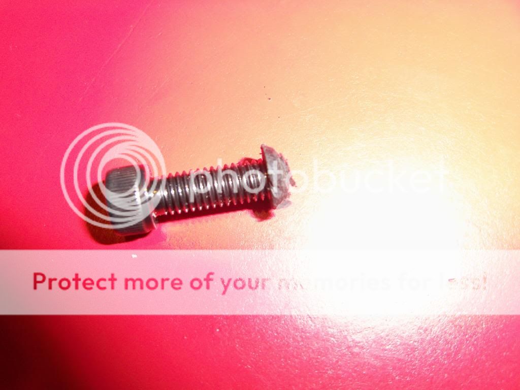 100_4266.jpg