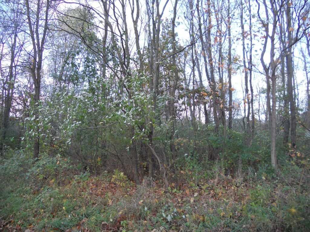 Gathering10-15-11036.jpg