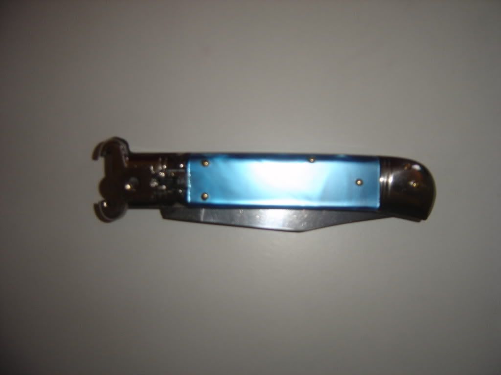 DSC01065.jpg