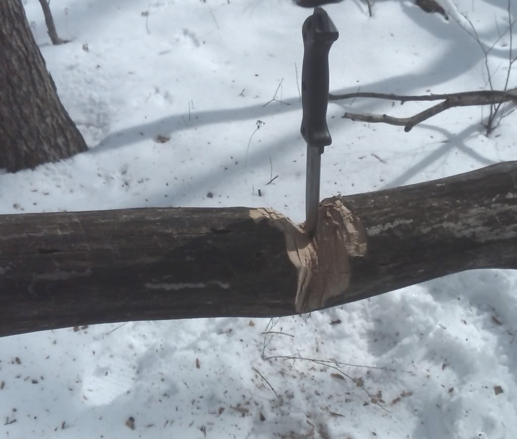 20110212_ac_14.jpg