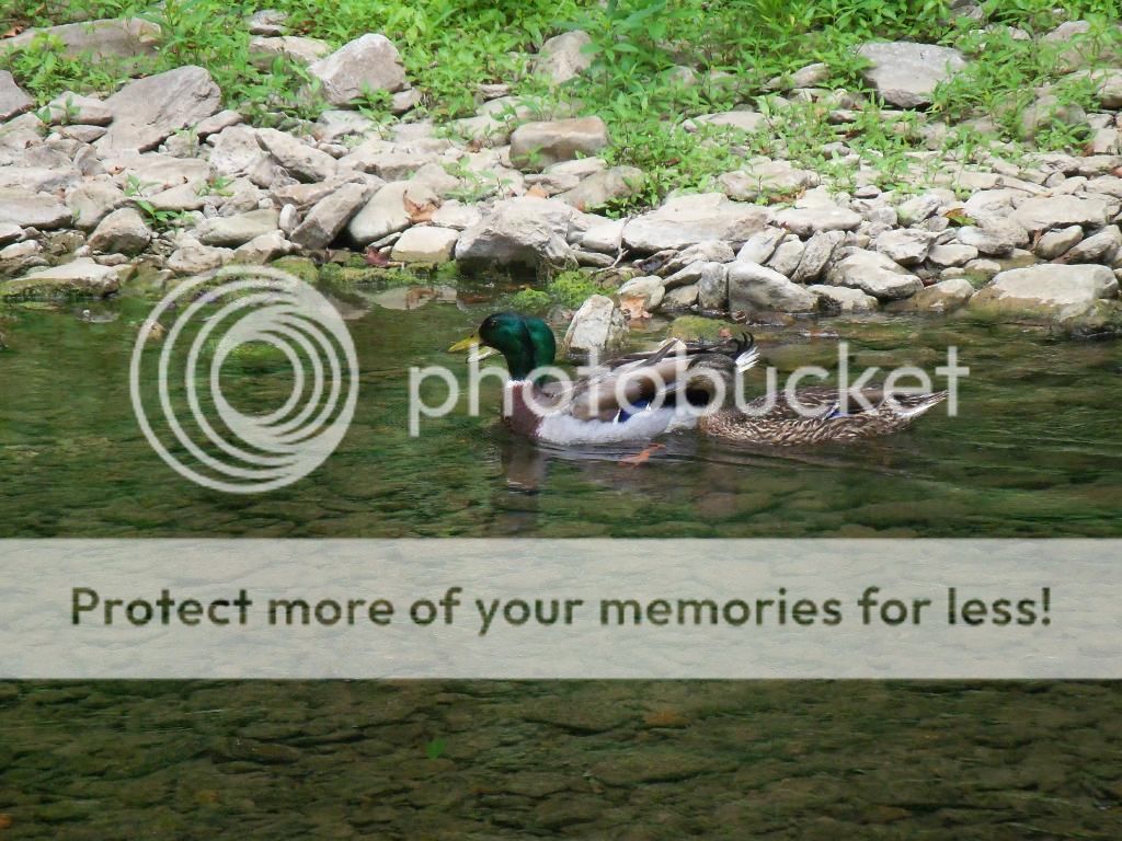 100_5287.jpg