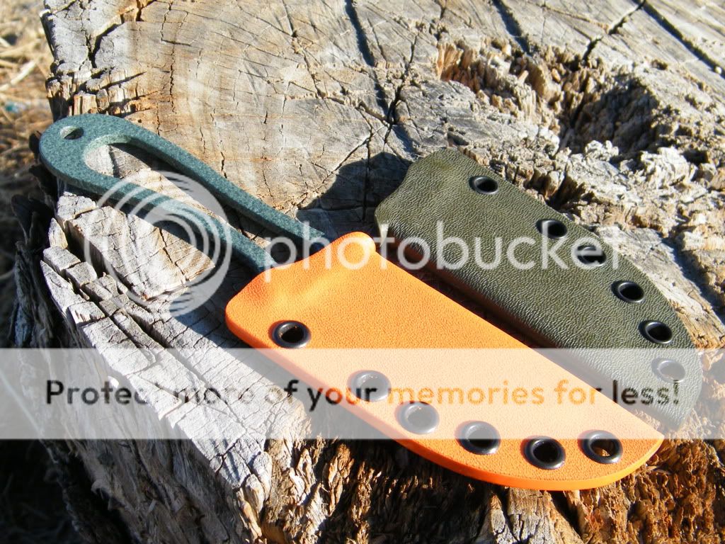 DSCF3468.jpg