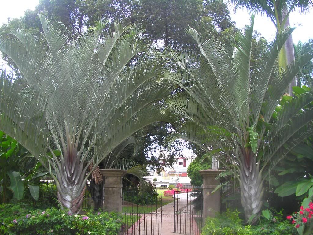 SANY0003.jpg