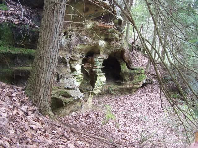 100_3054.jpg