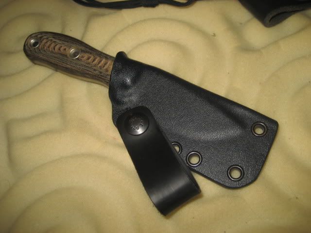 028-2.jpg