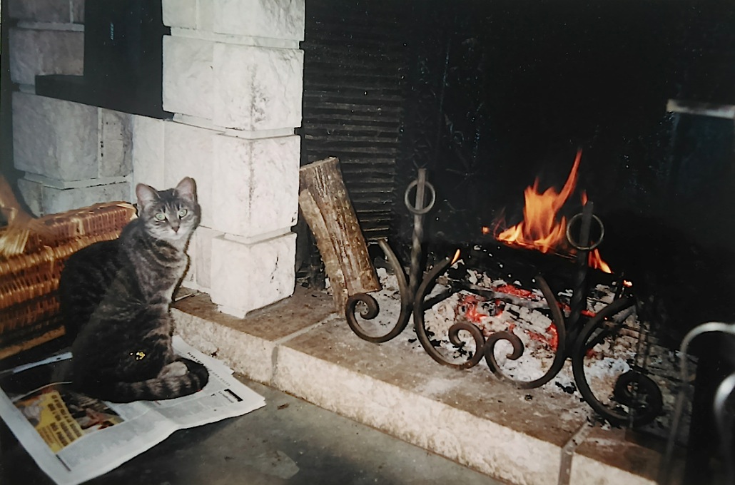 cheminée.jpg