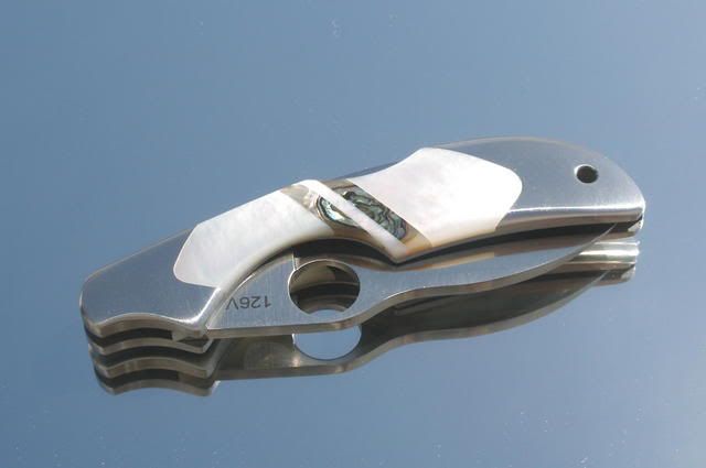 KiwiMopa01.jpg