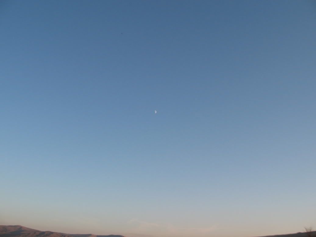 IMG_5818.jpg