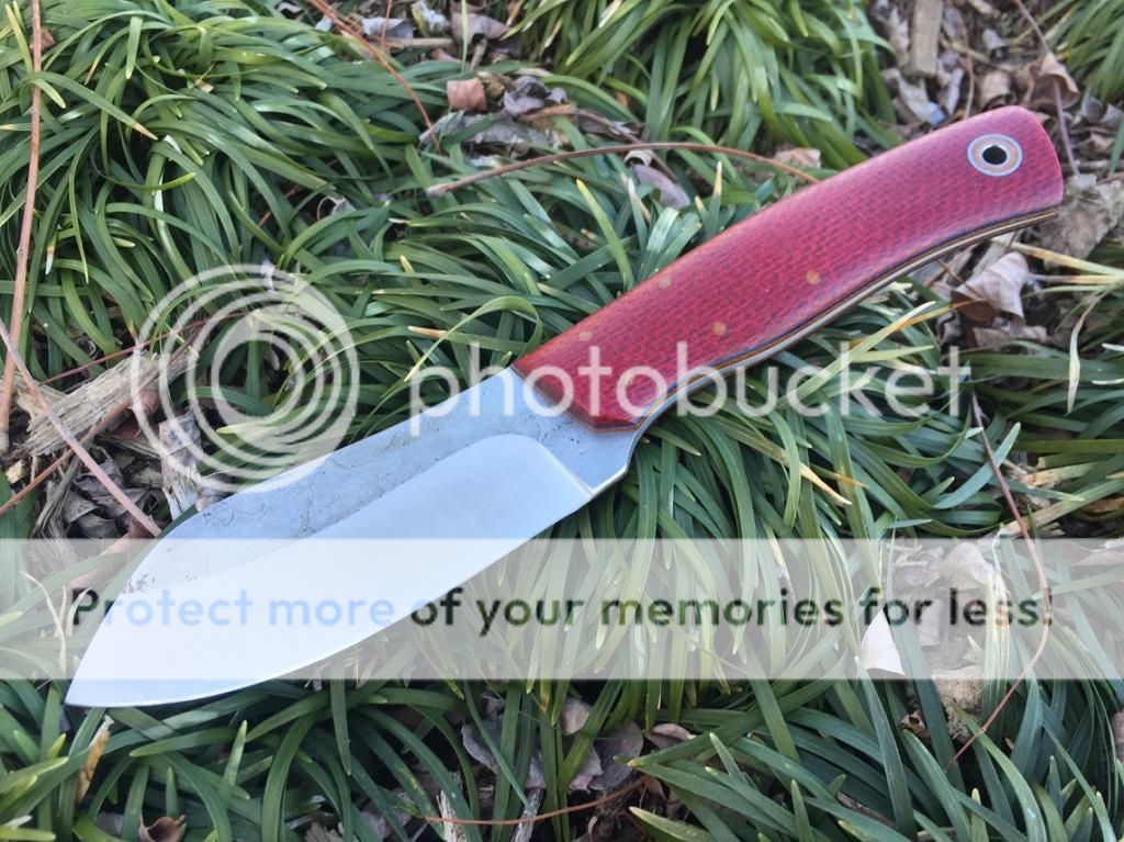 IMG_0718_zps0ba5c4a5.jpg