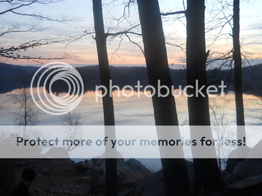 scarpbook048.jpg