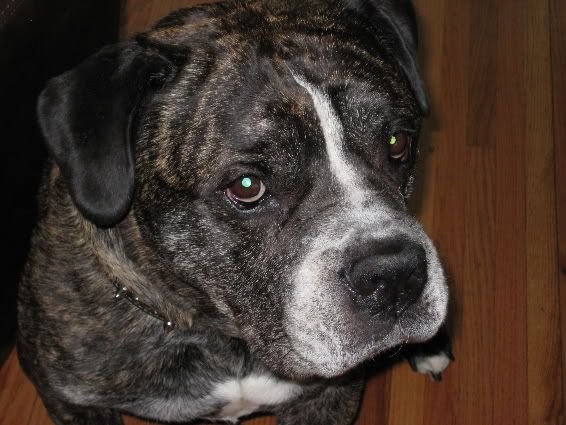 Foster.jpg